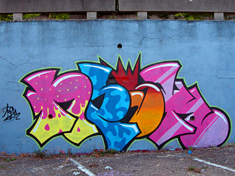 Graffiti on Graffeur    Lyon   R  Alisation De Graffiti