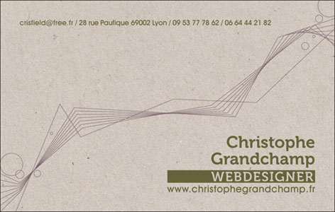 carte de visite webdesigner