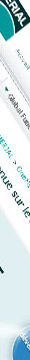 webdesigner freelance